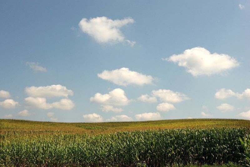 CNA defende ajuste fiscal para impulsionar investimentos no agro