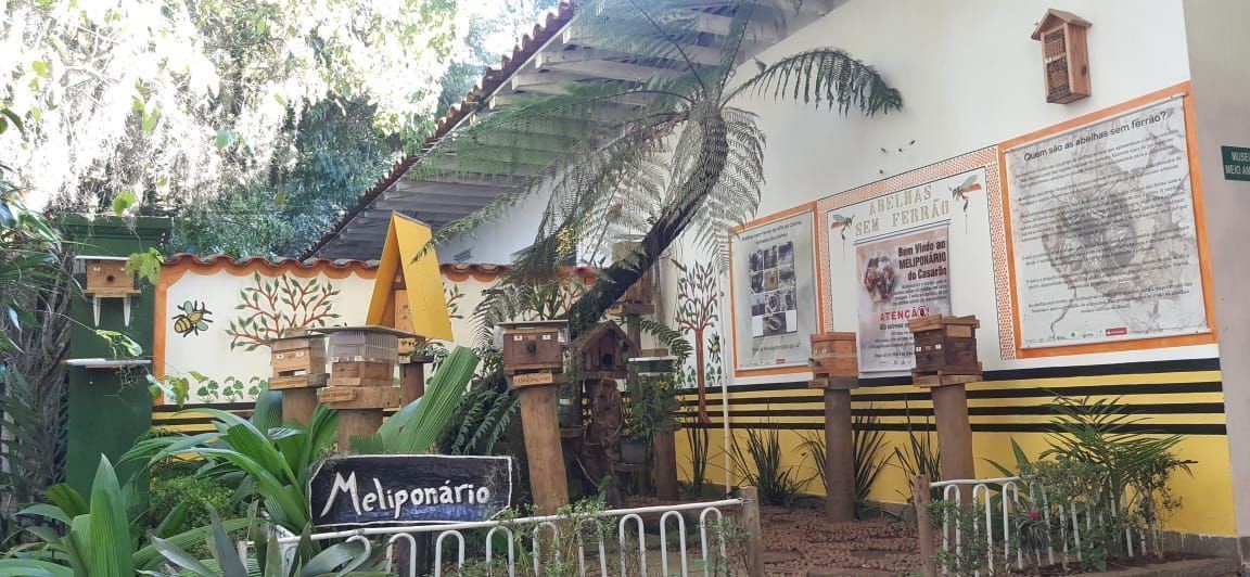 Polinização por abelhas pode gerar R$ 4,2 bilhões por ano em São Paulo
