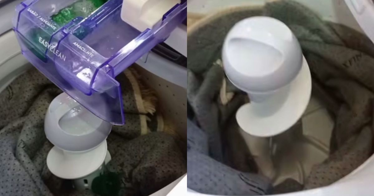 É higiênico lavar tapete na máquina? Entenda como microrganismos se criam no eletrodoméstico