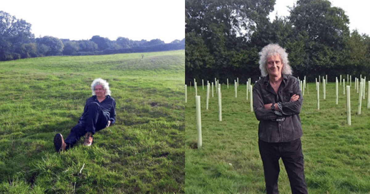 Em 2013, Brian May do Queen plantou um carvalho numa fazenda abandonada; dez anos depois, 100 mil árvores trouxeram de volta os animais para a região