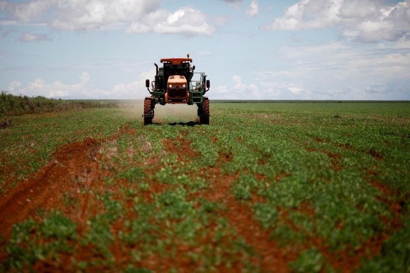 Entregas de fertilizantes ao mercado brasileiro caem 22,3% em julho