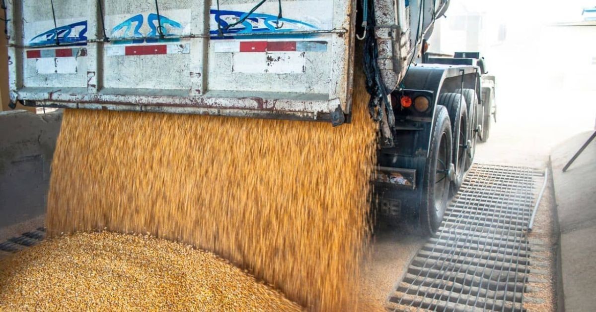 Fretes agrícolas recuam em agosto, mas seguem acima de 2025