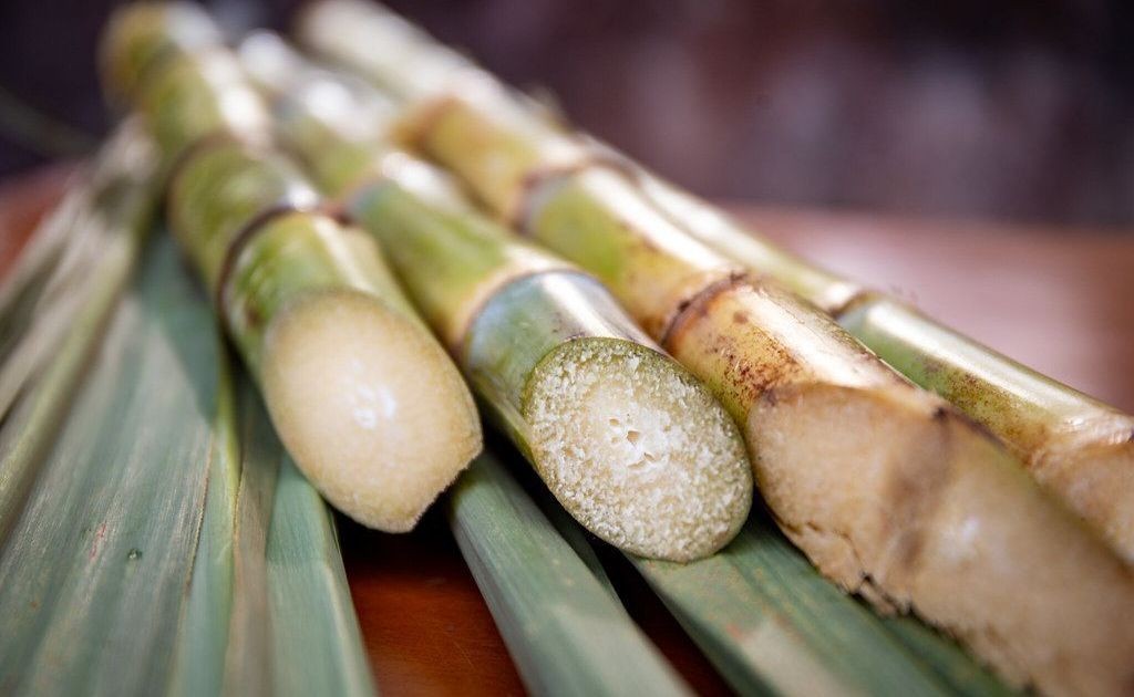 Preço do açúcar atinge maior valor em 19 meses na Bolsa de Nova York