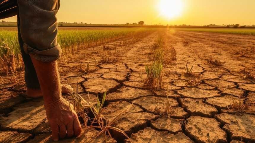 Como o agro pode se preparar para o El Niño, segundo a Embrapa
