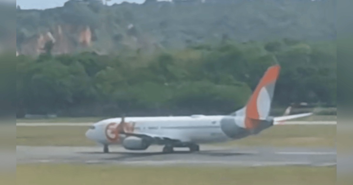 O que é um “birdstrike”, incidente que fez avião da Gol voltar para PE