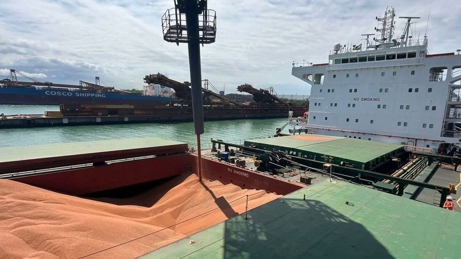 Sorgo ganha rotas ferroviárias inéditas para exportação no Brasil