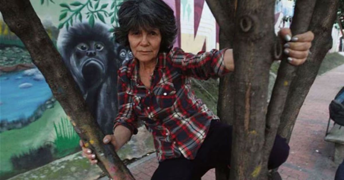 Mulher ‘criada por macacos’ em floresta diz que ficou aterrorizada ao se ver pela primeira vez num espelho