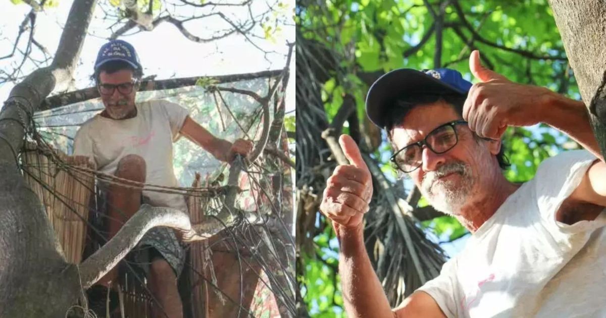 Aos 53 anos, homem vive em árvores há mais de uma década construindo abrigos com paletes e cobertores