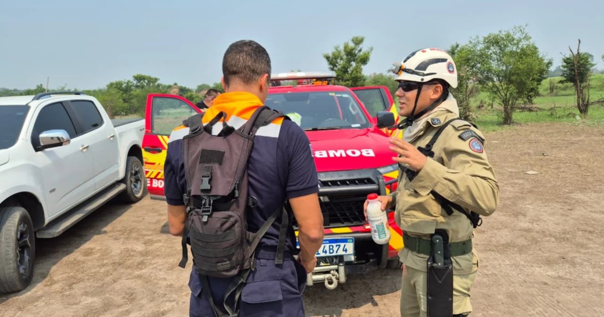Força-tarefa de São Paulo ajuda no combate a incêndios no Amazonas