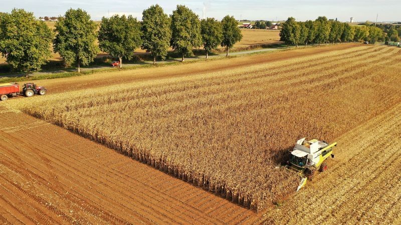 França reduz previsão da safra de milho para menor nível em décadas