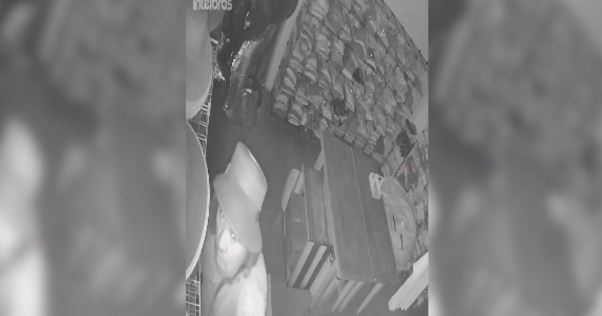 Vídeo mostra ação de ladrões dentro de joalheria na Oscar Freire, em SP