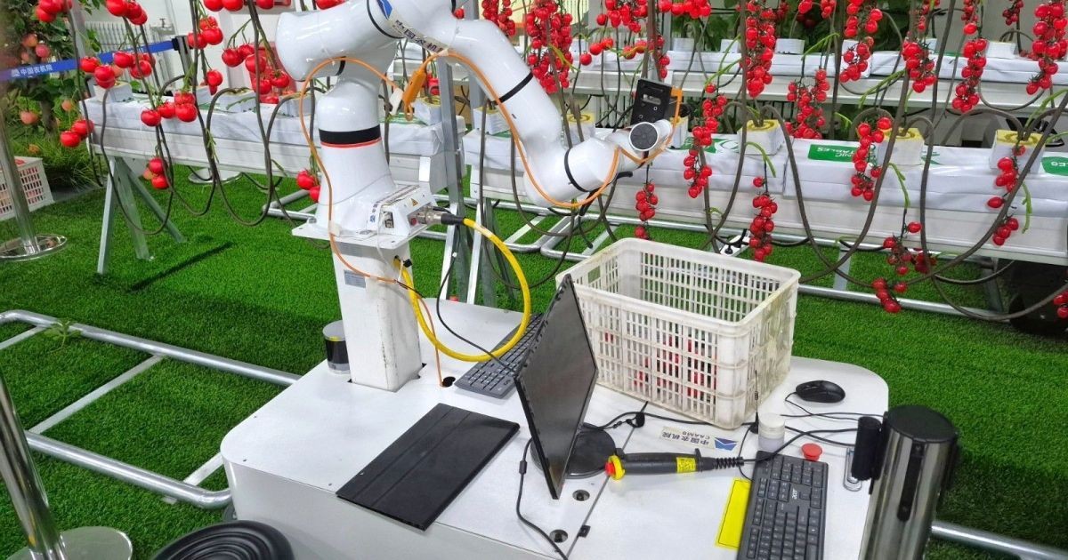 Embrapa fecha acordo com a China para levar IA à agricultura familiar