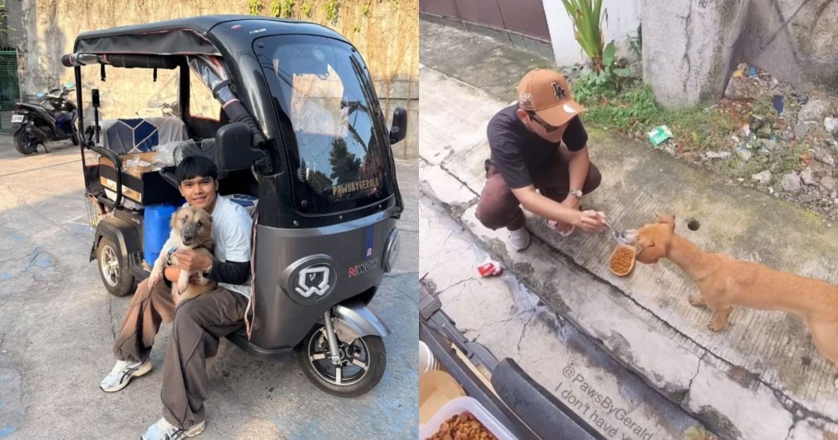 Restaurante sobre rodas: jovem adapta triciclo para levar refeições a cães e gatos que vivem nas ruas