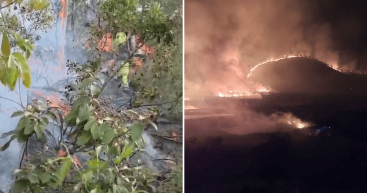 Vídeos: Dois incêndios atingem áreas de mata em Minas Gerais