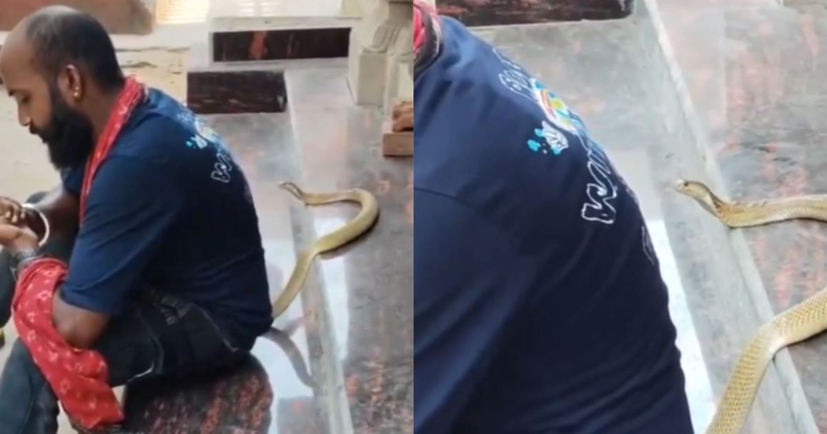 Ele resgatava serpentes de casas na Índia, mas um vídeo para o Instagram mudou tudo: a tragédia do resgatador Tapan Kumar Pradhan
