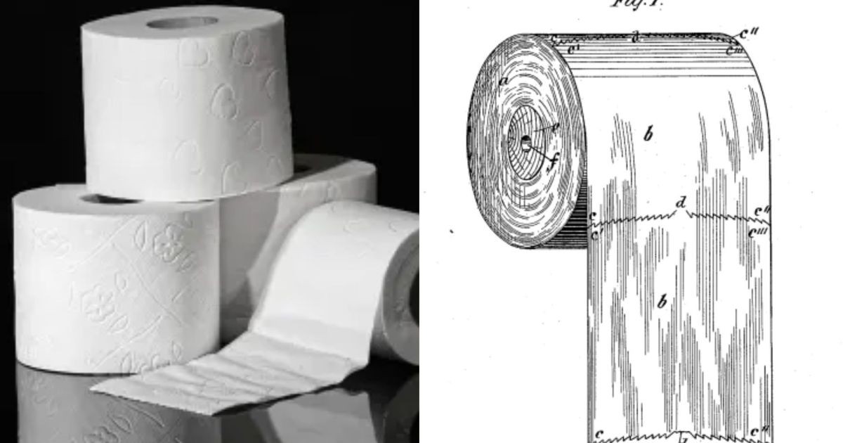 Papel higiênico tem lado certo? Entenda por que ele deve ficar virado para frente no suporte do banheiro