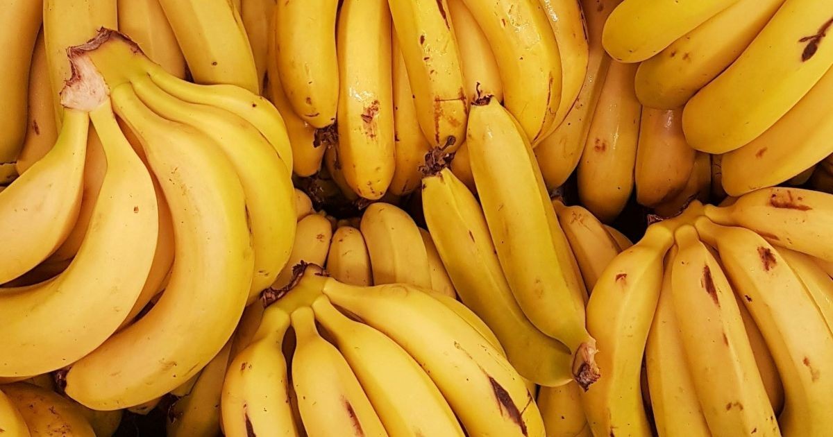 Bananas frescas por mais tempo: como mantê-las bonitas e evitar que estraguem rápido