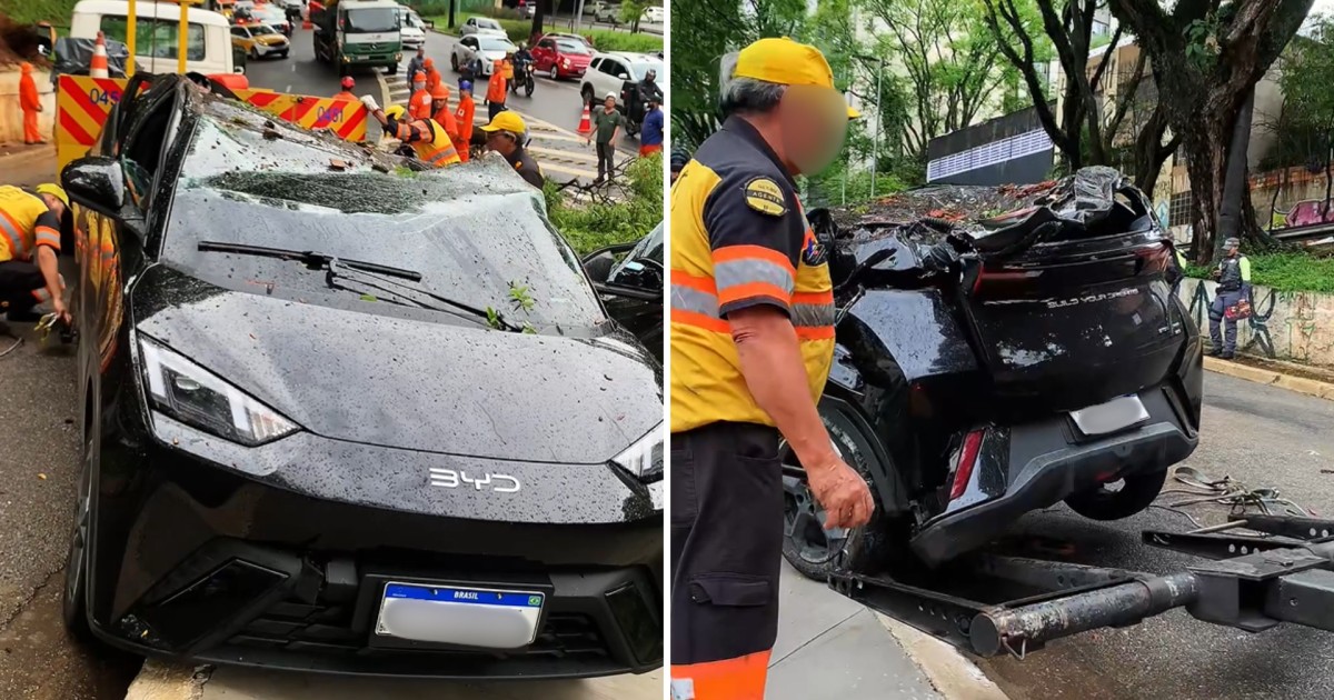 Chuvas em SP: Árvore cai e esmaga carro na avenida 23 de Maio