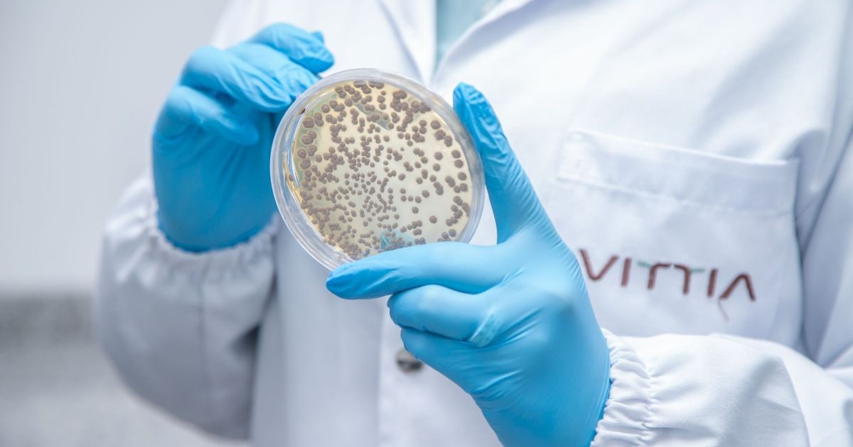 Vittia aprova subvenção de até R$ 10,1 milhões para projeto de bioinsumos