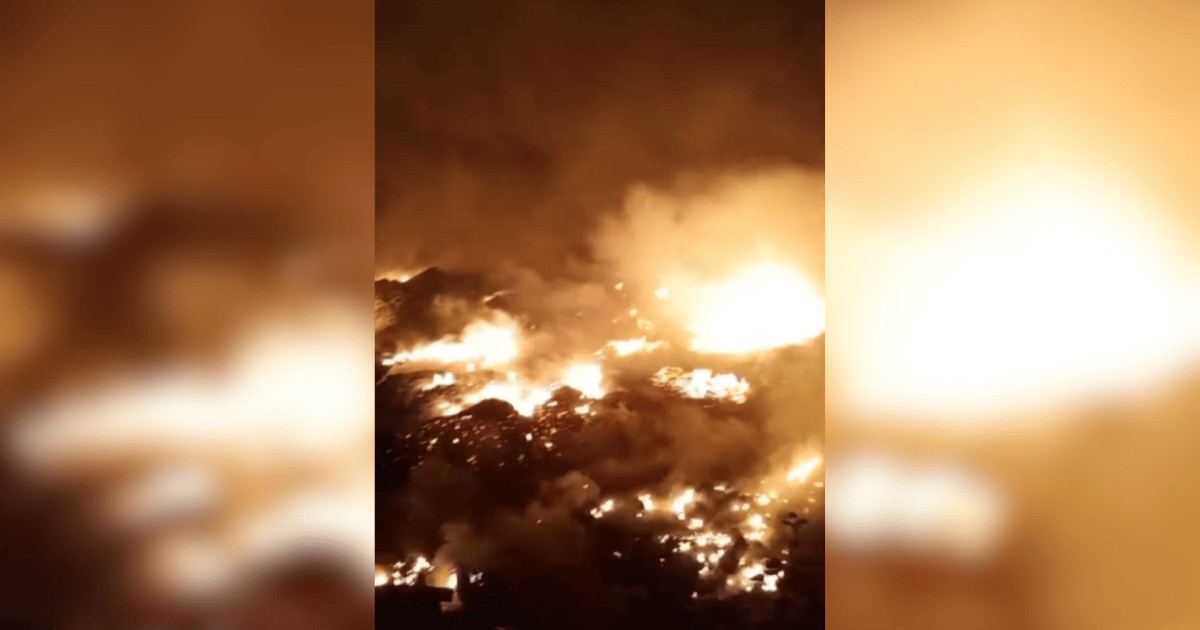 Baixa visibilidade no Amazonas impacta voos de combate a incêndios