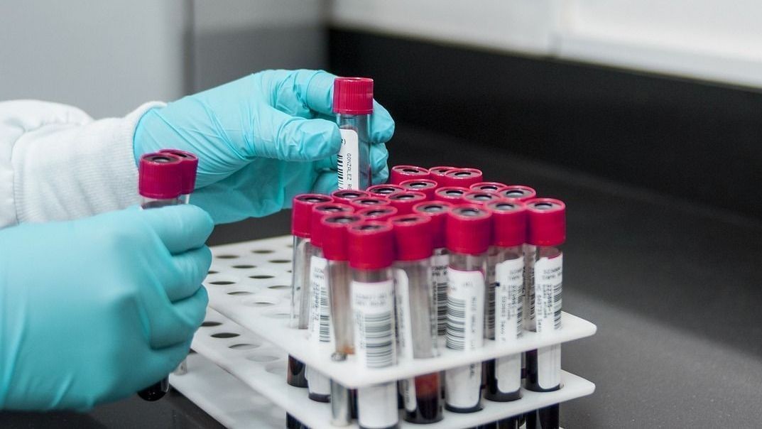 Novos tratamentos para doenças do sangue: Kalil e hematologistas comentam