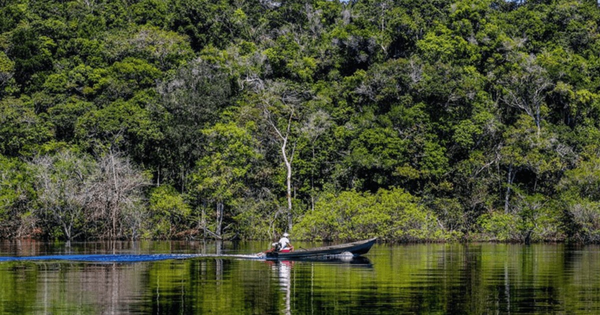 Queda do desmatamento na Amazônia evitou emissões equivalentes às da França entre 2023 e 2025, estima físico