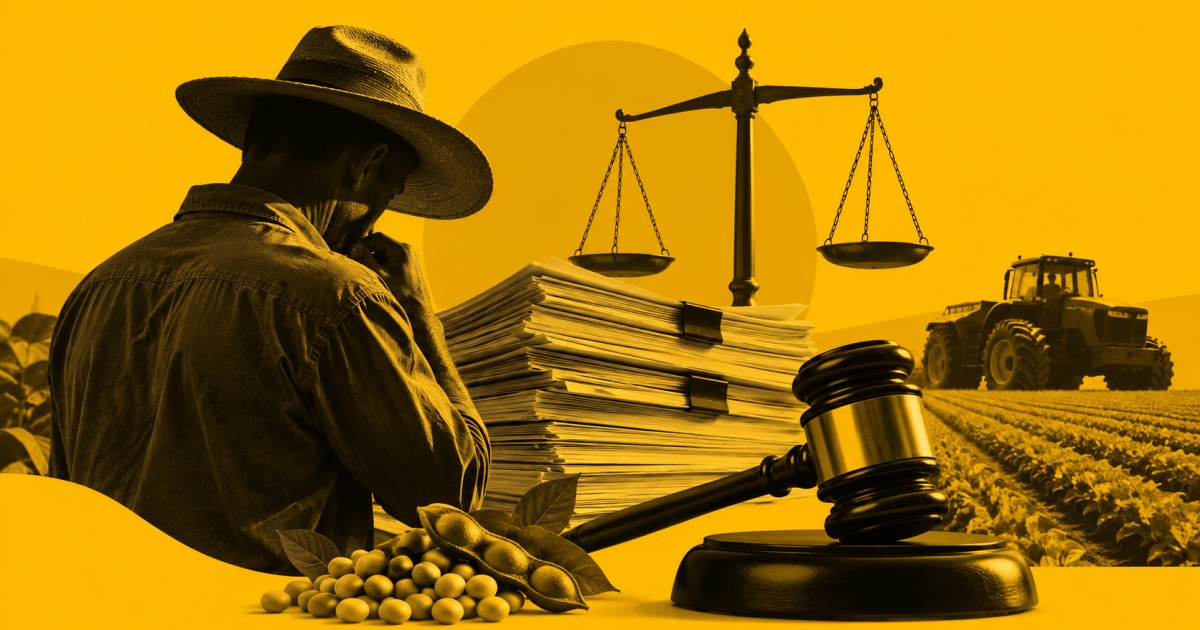 Pedidos de recuperação judicial no agro caem 20,7% no segundo trimestre