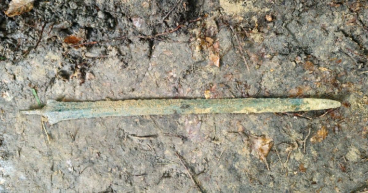 Homem encontra espada de 2.700 anos fincada em floresta – objeto de 60 cm pode revelar segredos da Idade do Bronze entre 900 e 700 a.C