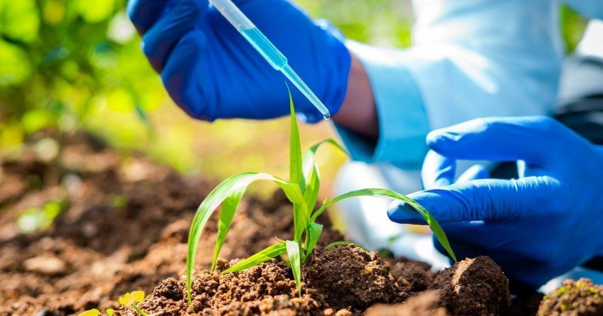Combinação de fertilizante e bioinsumo reduz intensidade de carbono na soja