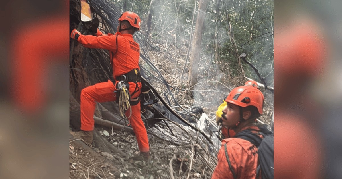 MPF pede R$ 10 milhões de empresa por queda de helicóptero no RJ