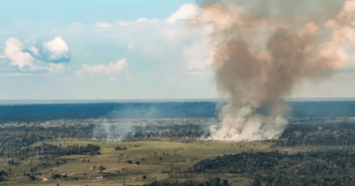Pará tem a maior quantidade de focos de incêndio no Brasil em 2026