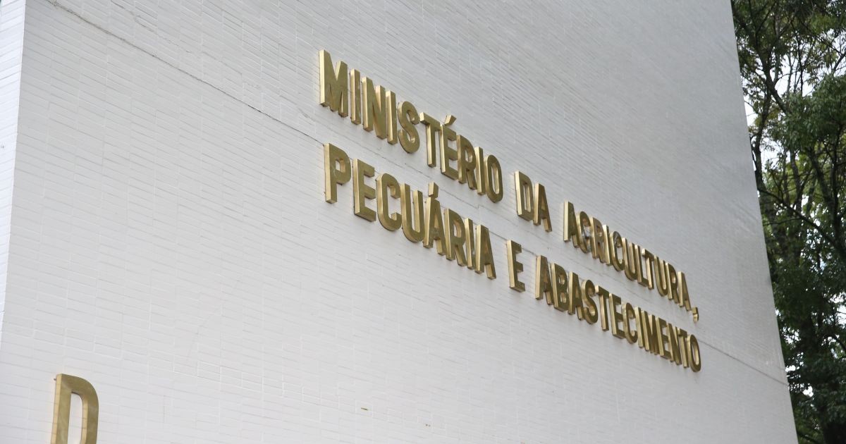 China confirma embargo restrito a aves do estado de Santa Catarina