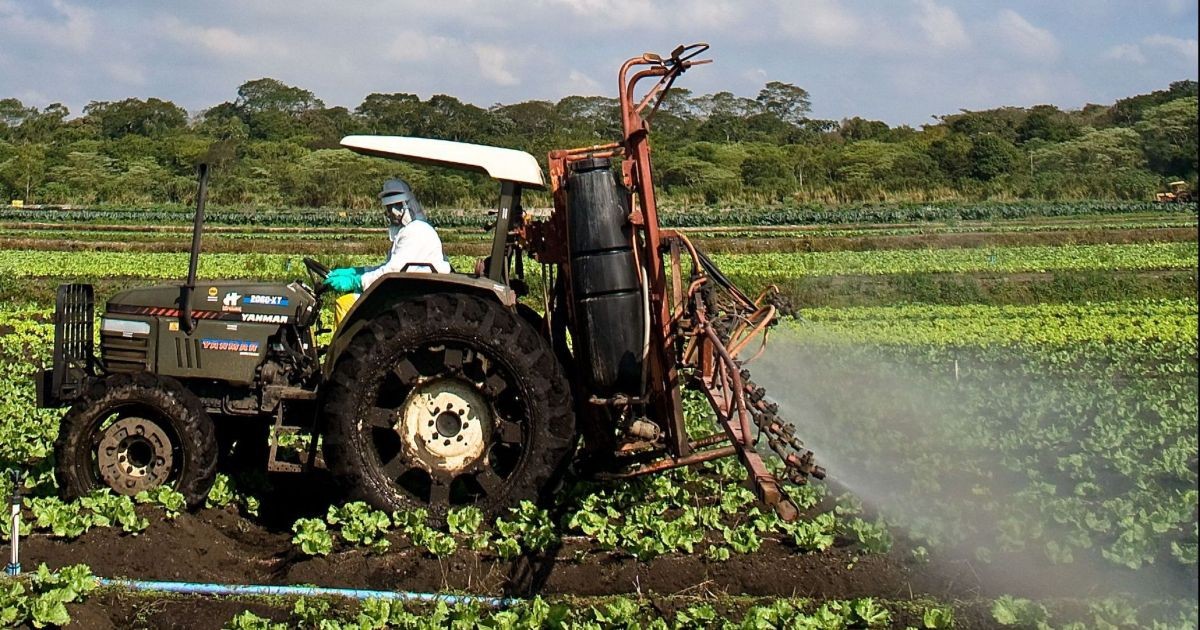 Brasil importou 15 mil toneladas de agrotóxicos proibidos na UE, diz Oxfam