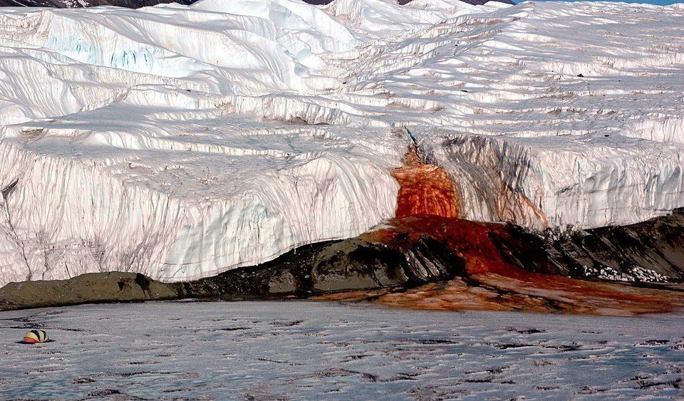 Mistério da “Cachoeira de Sangue” esconde vida marinha ancestral na Antártida