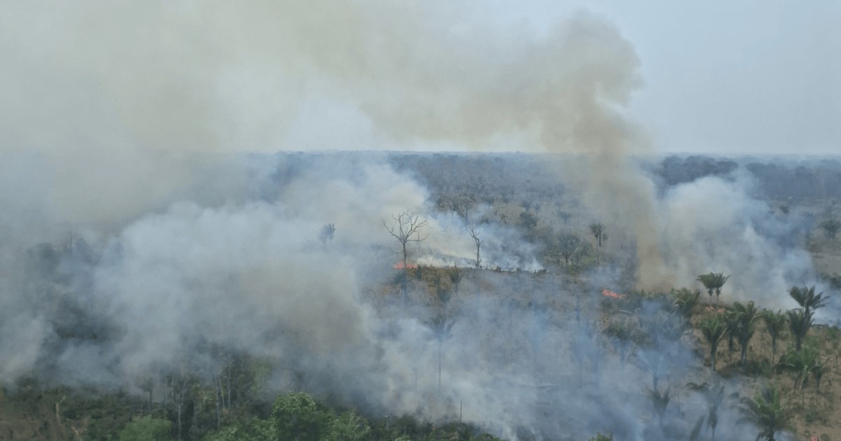 PF investiga possíveis incêndios criminosos no Amazonas