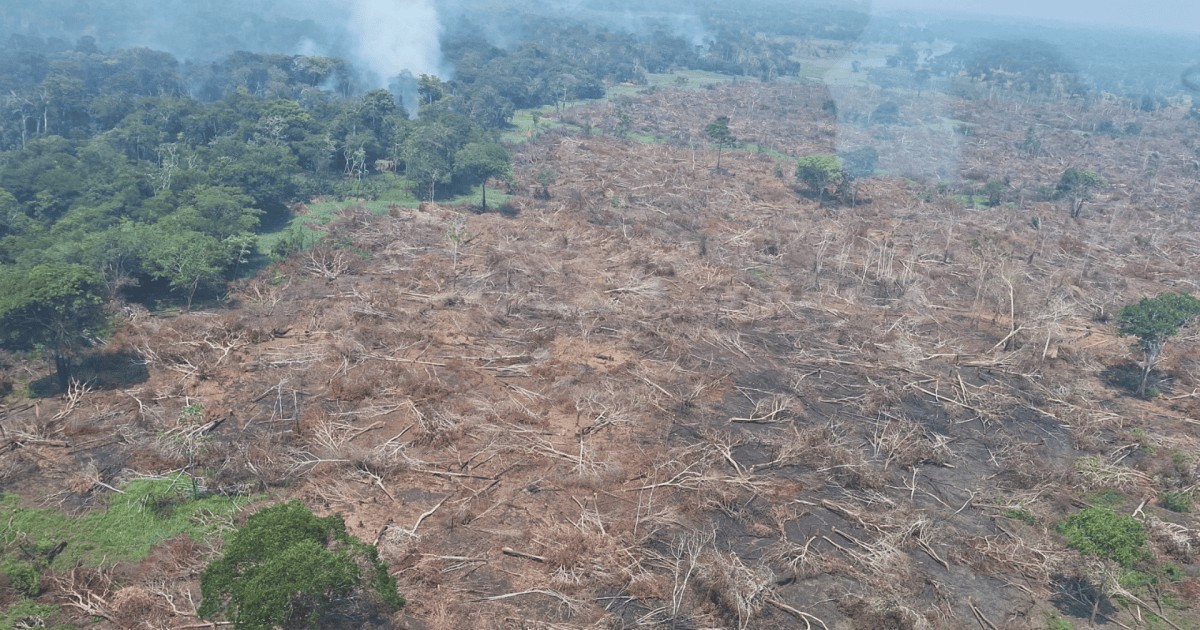 Incêndios no Amazonas: Governo federal libera R$ 3,5 milhões para cidades