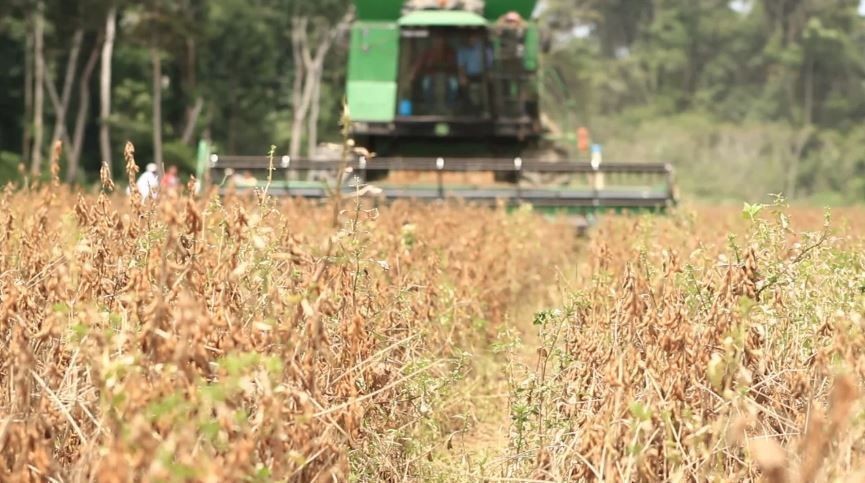 Importação de máquinas agrícolas sobe 42%; vendas internas caem 16%