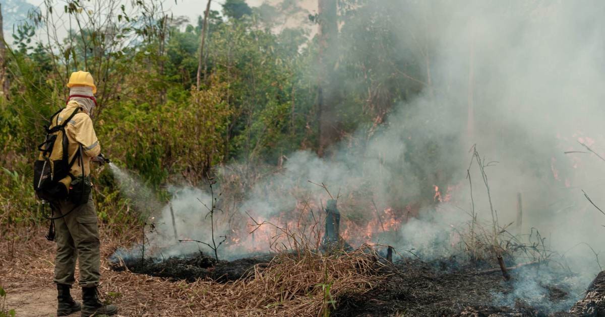 Análise: Foco de calor na Amazônia aumenta mais de 60% em um ano
