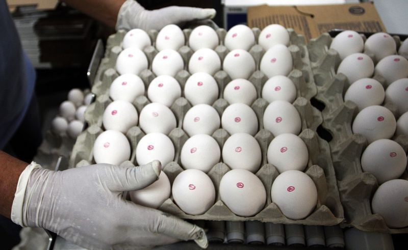 USDA aponta alta de 3% na produção de ovos nos Estados Unidos
