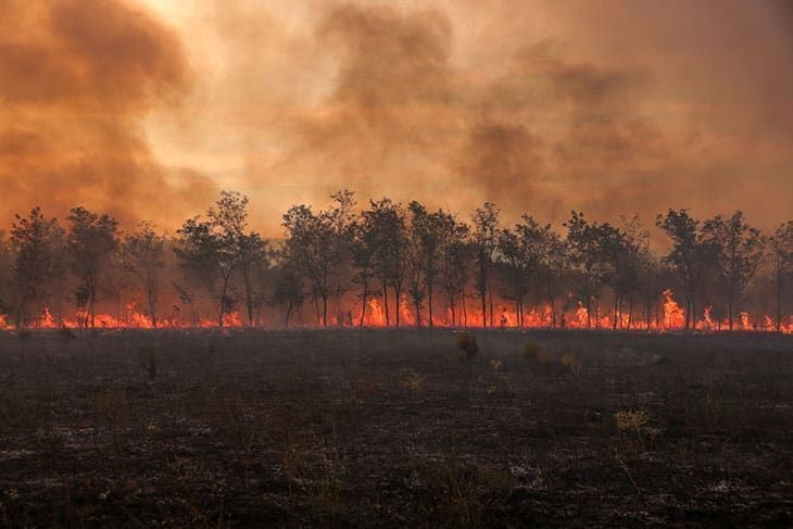 Tempestades de calor se tornam mais frequentes, atingem 85% do planeta e provocam mortes, incêndios e secas
