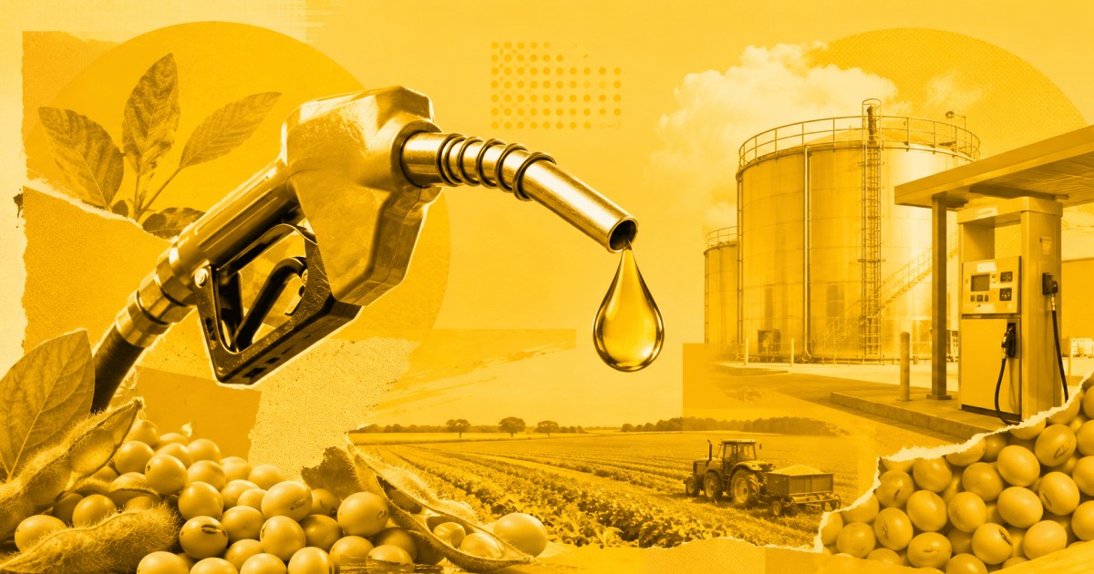 B16 pode elevar demanda de biodiesel a 11 bilhões de litros em 2027