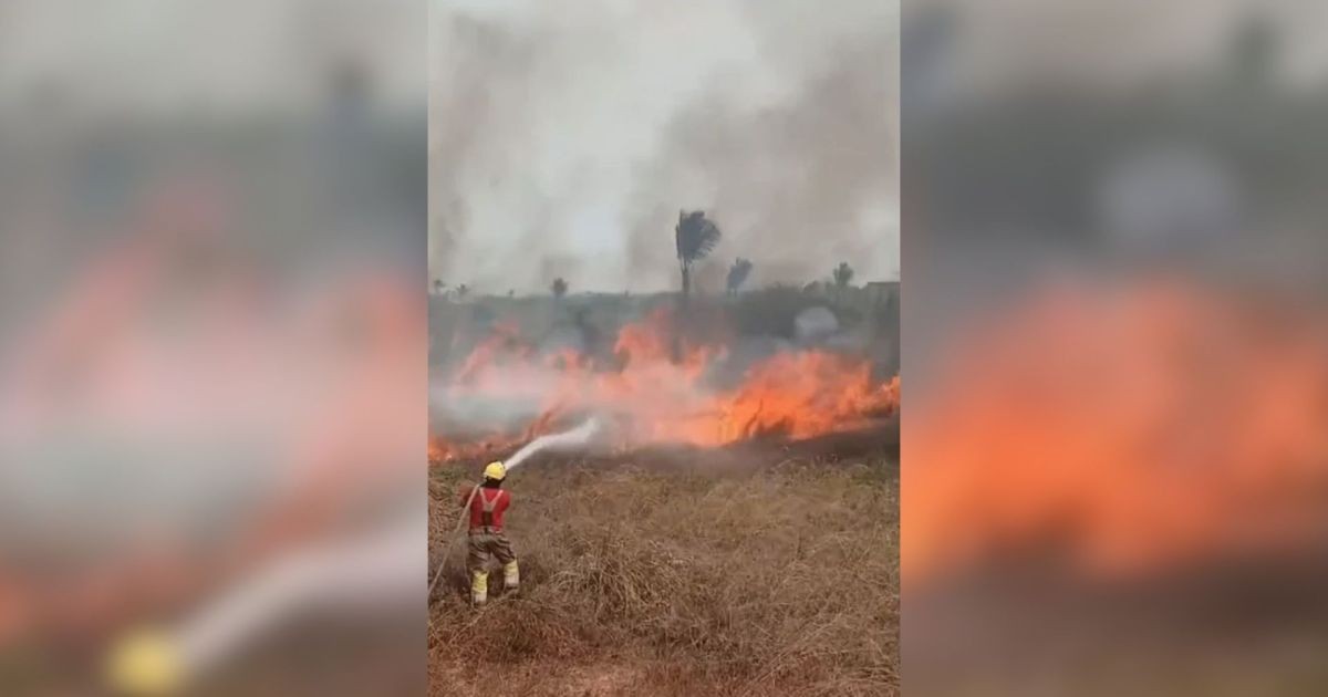Queimadas no AM: FAB usa sistema que despeja 12 mil litros de água
