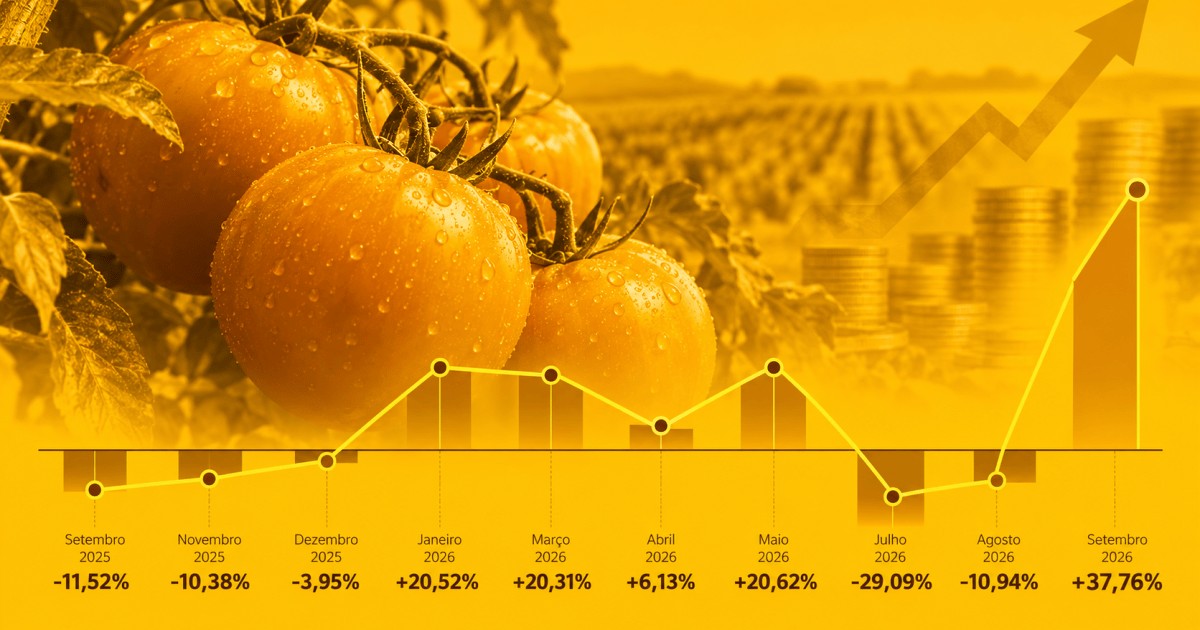 Tomate desafia padrão histórico de preços e surpreende na inflação de 2026
