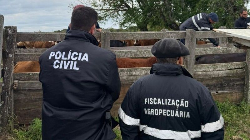 Golpe desvia 2,3 mil cabeças de gado de pecuarista no RS
