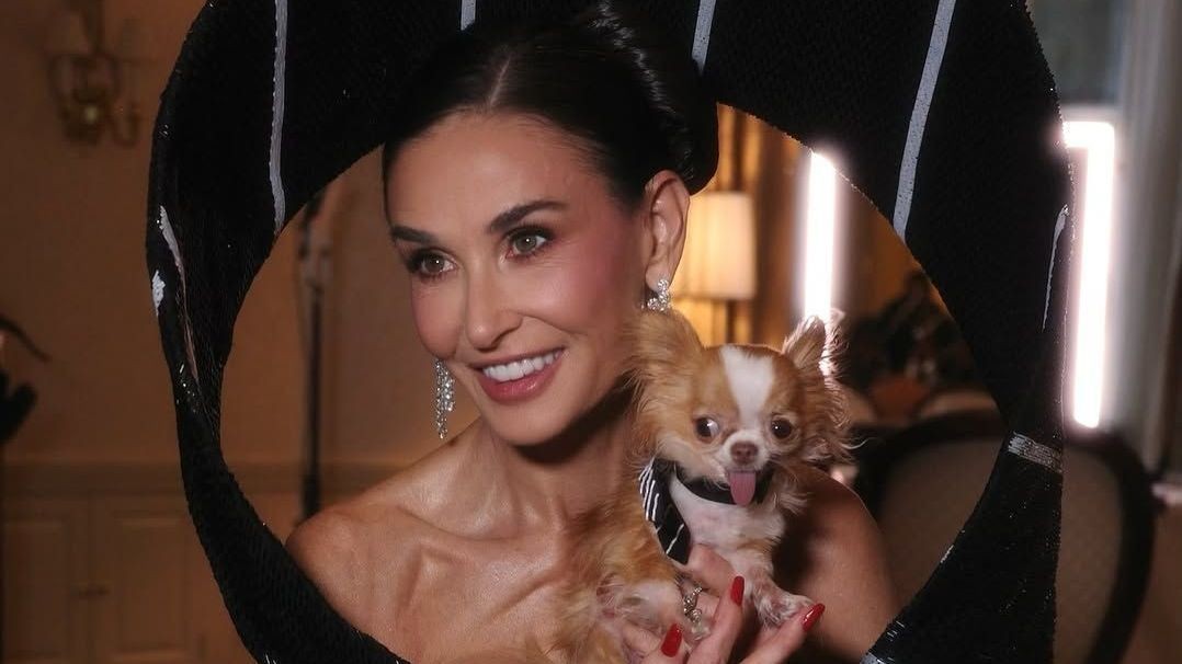 Celebridades gastam milhões com pets; brasileiro do setor explica luxos