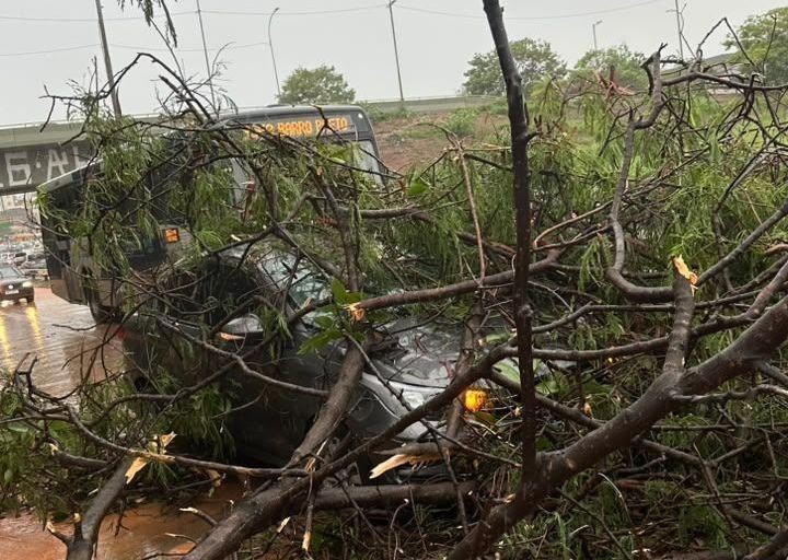 Chuvas provocam ventos de até 150 km/h em Minas Gerais