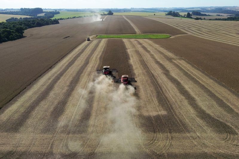 Produção de soja no Paraná deve crescer 4% em 2026/27
