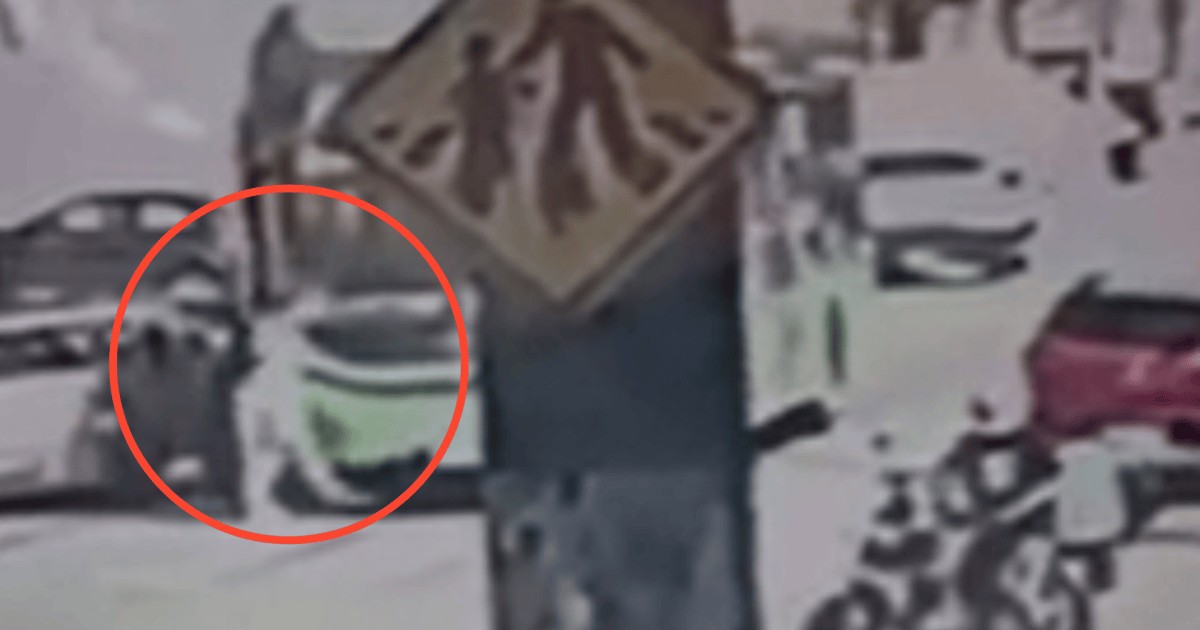 Vídeo: Homem morre após ser atropelado por ônibus na zona Sul de SP