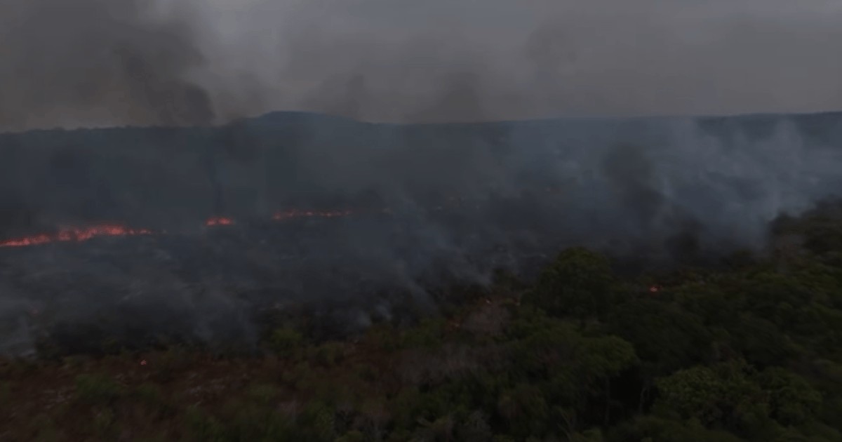 Incêndio atinge Área de Proteção Ambiental em Alter do Chão, no Pará
