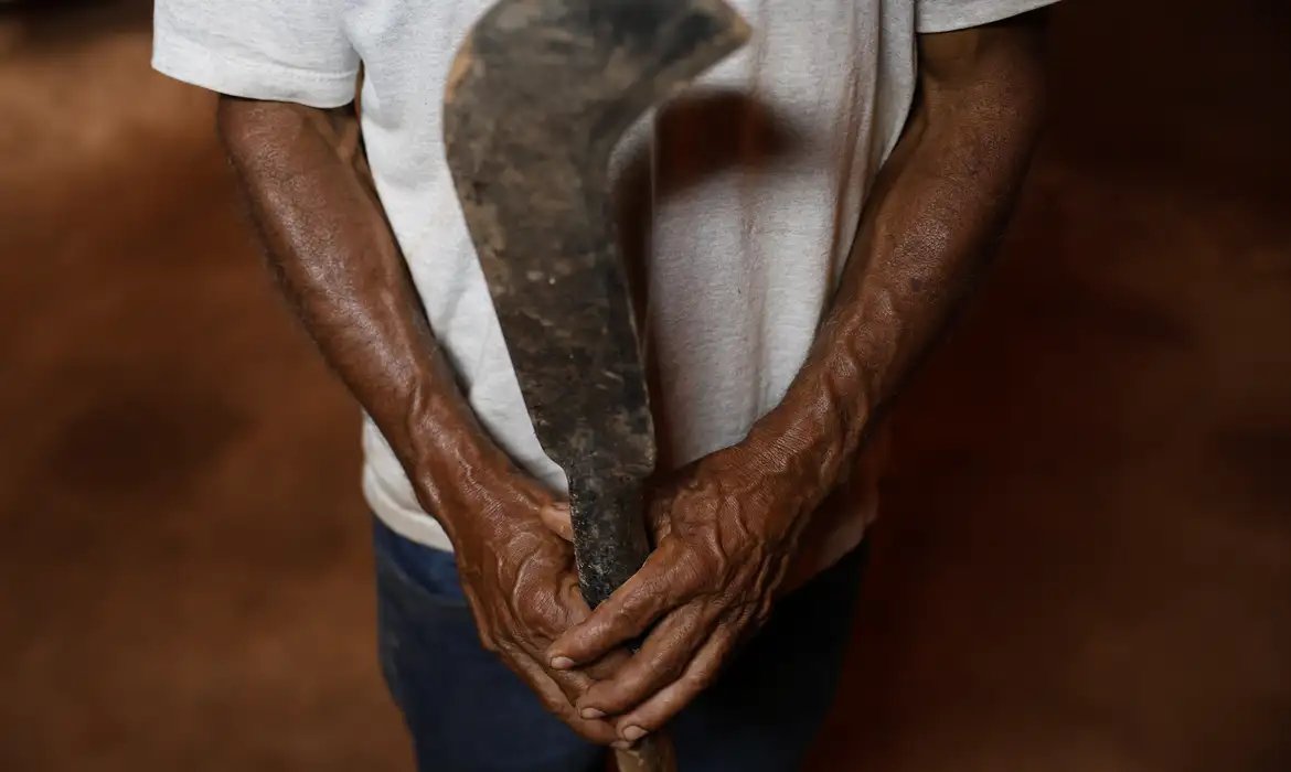 Fronteira Cerrado: desmatamento está ligado a conflitos e grilagem